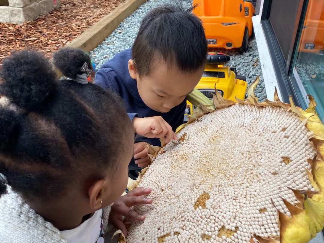Grandview Montessori School - Licensed Daycare in Surrey, BC